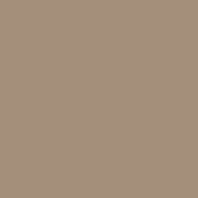 RAL 1019 Graubeige / RAL 1019 Graubeige